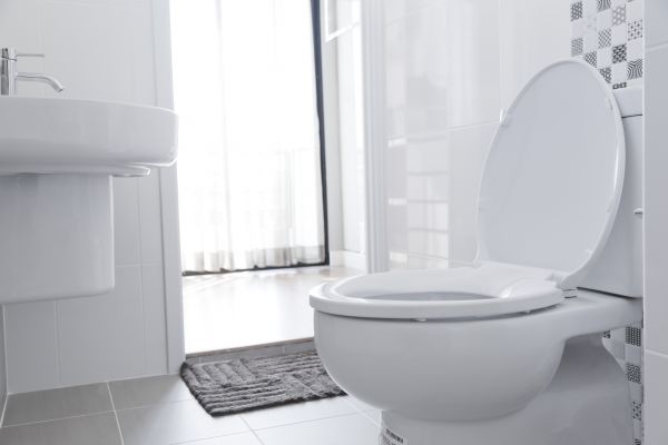 Cost of Toilet Relocation in Palm Harbor