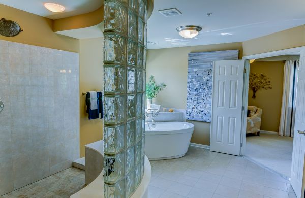 Basement Bathroom Renovation in Palm Harbor