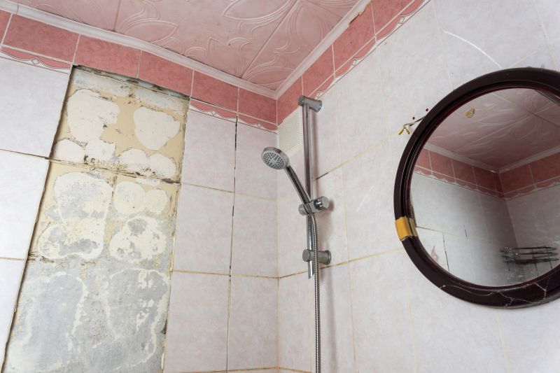 Top Shower Remodeling Companies in Lutz, FL